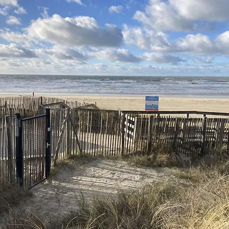 Apartment Superbe T2 A Berck-plage - Balcon, Parking Prive Et Acces - Fr-1-646-36 Berck
